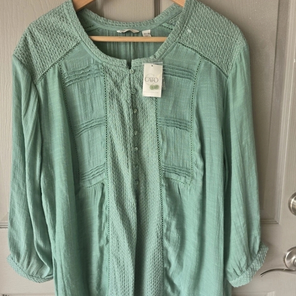 Cato Popover Blouse Sz 18/20 Plus Green Womens Cap 3/4 Sleeves Eyelet Dainty - Picture 4 of 12